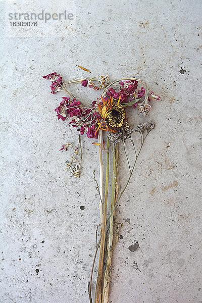 Verwelkte Blumen,  Studioaufnahme