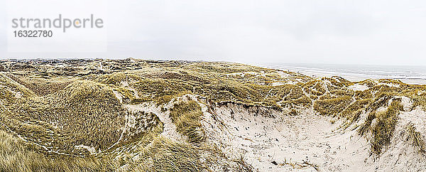 Dänemark,  Henne Strand,  Dünenlandschaft