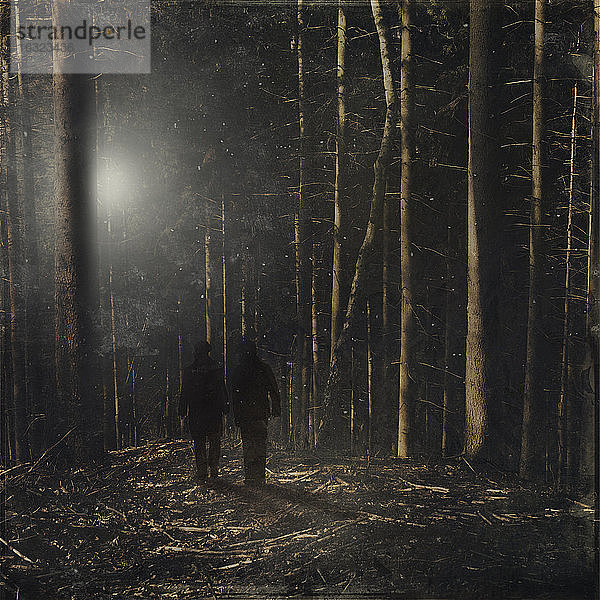 Deutschland,  bei Wuppertal,  zwei Personen im Wald,  Digital Composite