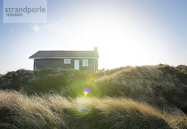 Dänemark,  Henne Strand,  Haus in den Grasdünen