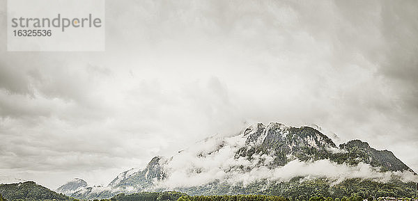 Österreich,  Anif,  Berghang bei nebligem Wetter