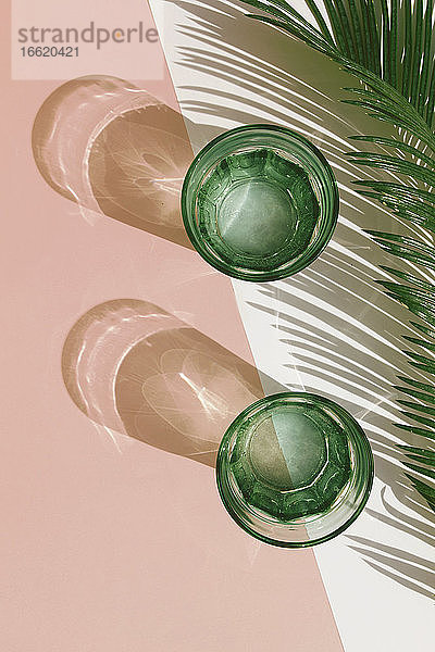 Studioaufnahme von Palmenblättern und zwei Gläsern mit kohlensäurehaltigem Wasser
