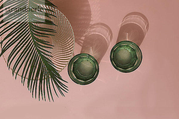 Studioaufnahme von Palmenblättern,  Glasschale und zwei Gläsern mit kohlensäurehaltigem Wasser