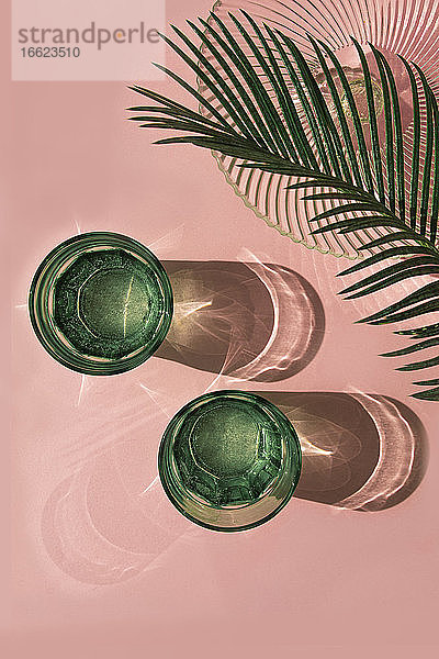 Studioaufnahme von Palmenblättern,  Glasschale und zwei Gläsern mit kohlensäurehaltigem Wasser