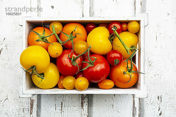 Kiste mit reifen Tomaten