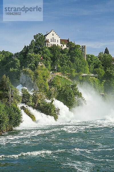 Rheinfall mit Schloss Laufen,  Schweiz,  Europa