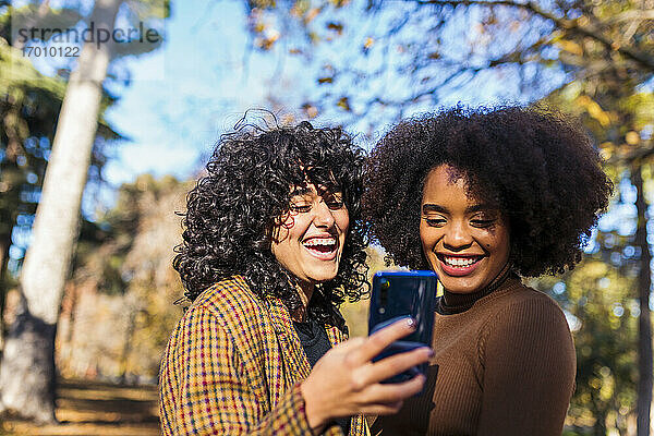 Lächelnde Freunde,  die lächeln,  während sie ihr Handy im Park benutzen