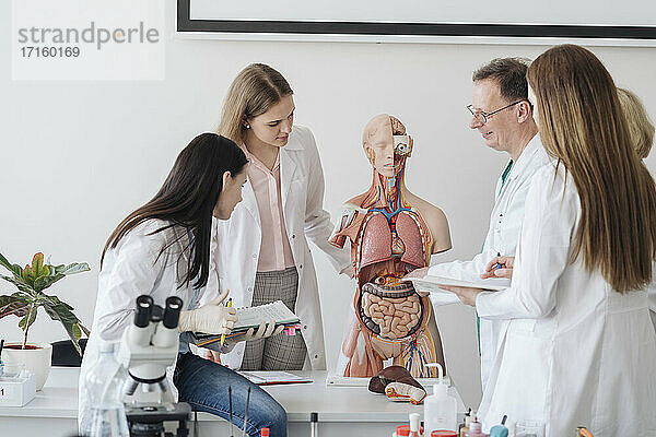 Professor mit Studenten,  die ein Anatomiemodell im Unterricht analysieren