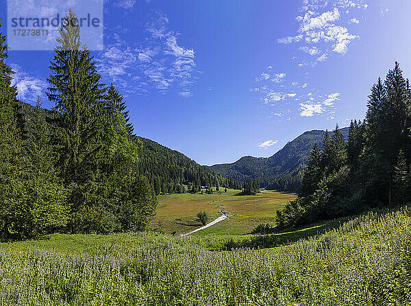 Ruhige Landschaftsszene vor klarem blauen Himmel,  Salzkammergut,  Österreich