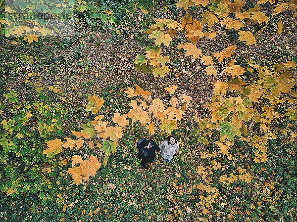 Luftaufnahme eines erwachsenen Paares,  das sich im Herbst in einem Park die Hände hält