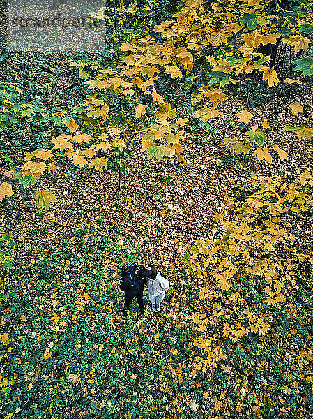 Luftaufnahme eines erwachsenen Paares,  das sich im Herbst im Park küsst