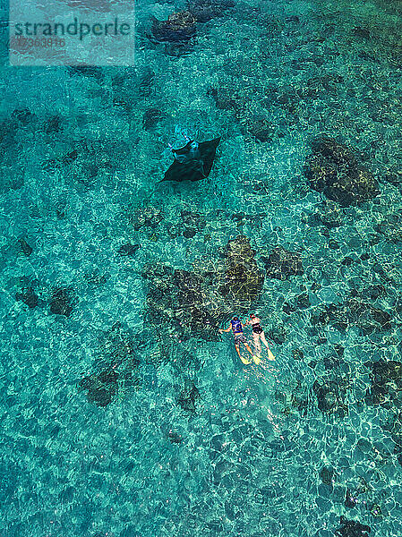 Luftaufnahme von zwei Menschen schwimmen in der Nähe von Mantarochen in türkisfarbenen Gewässern des Pazifischen Ozeans