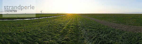 Panorama Sonnenuntergang Salzwiesen am Deich,  Deichvorland im Herbst,  Harlingersiel,  Nationalpark Niedersächsisches Wattenmeer,  Niedersachsen,  Deutschland,  Europa